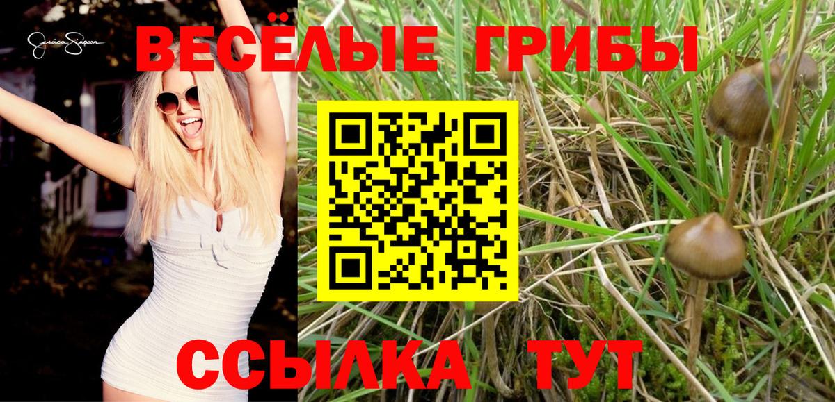 Мирный  Псилоцибиновые грибы Psilocybine cubensis  Вход с VPN  Галлюциногенные грибы мицелий 