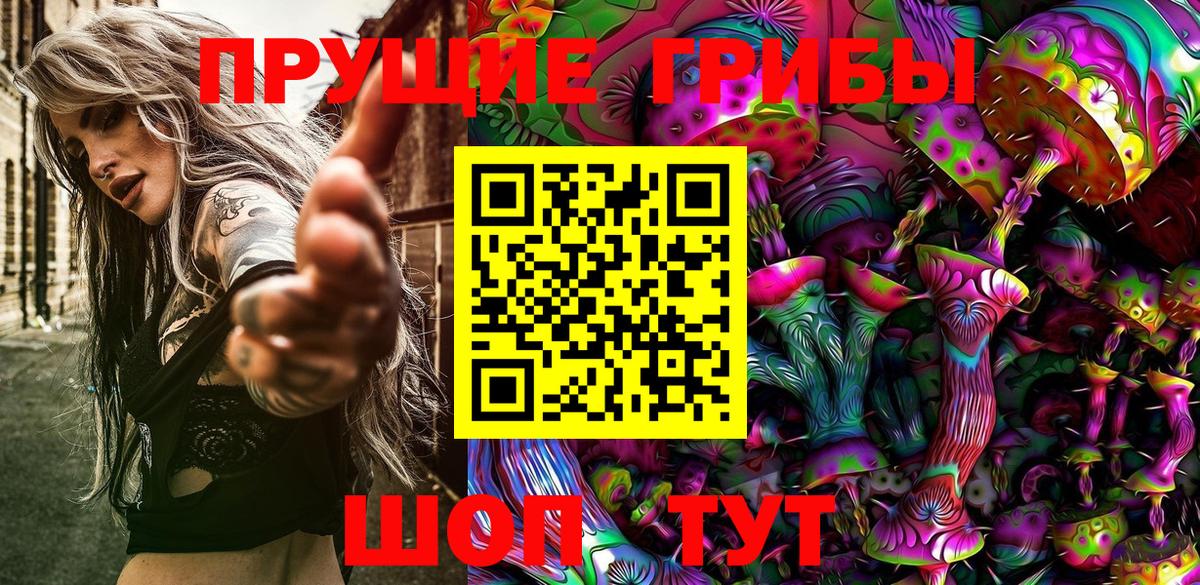 Галлюциногенные грибы Psilocybe Мирный